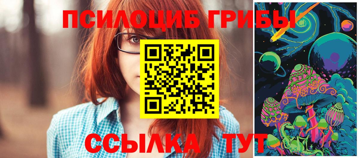 Новороссийск  Галлюциногенные грибы GOLDEN TEACHER  Вход с VPN  Псилоцибиновые грибы Cubensis 